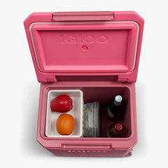 Tag Along Too Spinner Cooler